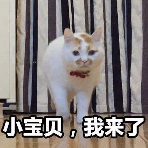 多芬测评‖沐浴露磨砂膏身体乳全都安排上！！